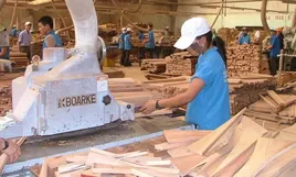 Xuất khẩu đạt kỷ lục gần 15 tỷ USD, gỗ Việt vẫn lo ngay ngáy bị hàng Trung Quốc "đội lốt"